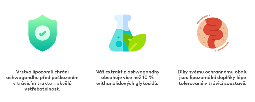 infografika-ashwaganha_body